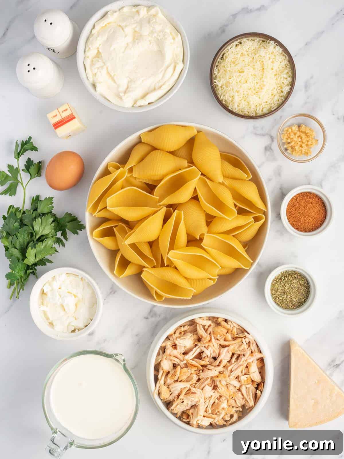 Spicy Cajun Chicken Alfredo Stuffed Pasta Shells 3 A flat lay photograph showcasing all the fresh ingredients needed for Cajun Chicken Alfredo Stuffed Shells, neatly arranged on a rustic background.