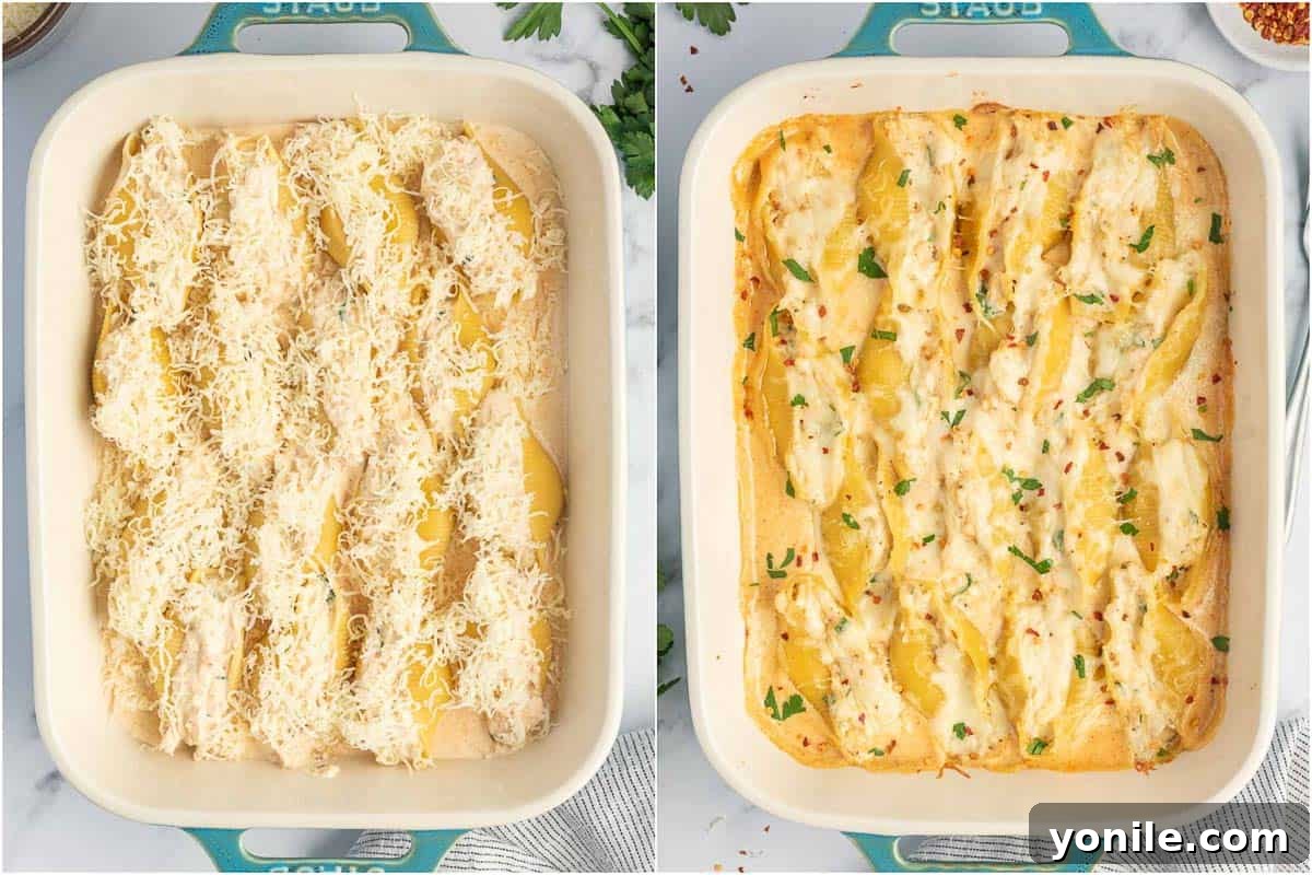 Spicy Cajun Chicken Alfredo Stuffed Pasta Shells 8 Cajun chicken stuffed shells with Alfredo sauce and melted cheese, freshly baked from the oven.