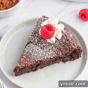 Pure Chocolate Indulgence 9 A slice of rich flourless chocolate cake on a white plate, garnished with fresh raspberries and a dusting of powdered sugar.