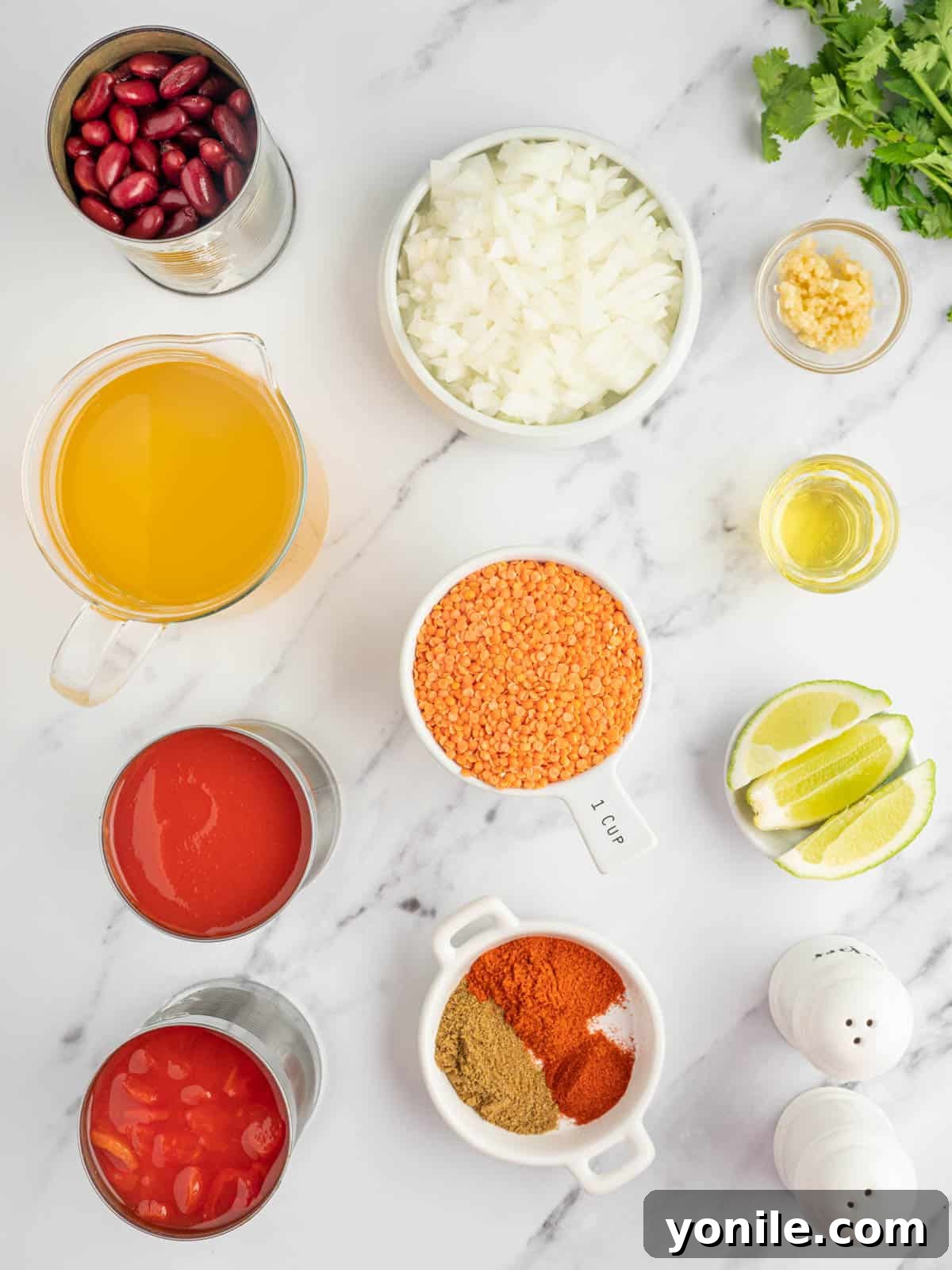 A vibrant array of fresh and canned ingredients neatly arranged on a wooden board, featuring a yellow onion, garlic cloves, various spices like chili powder and cumin, a bag of red lentils, canned diced tomatoes, tomato sauce, and kidney beans, all ready to be transformed into a delicious vegan chili.