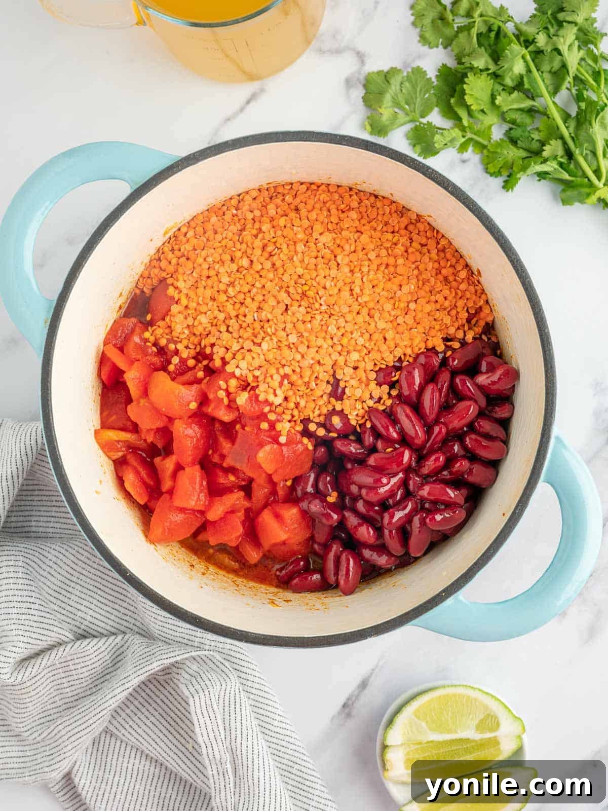 All the core ingredients for vegan chili – red lentils, plump kidney beans, rich diced tomatoes, and smooth tomato sauce – artfully combined in a large pot, awaiting simmering to blend their flavors into a robust, plant-based meal.