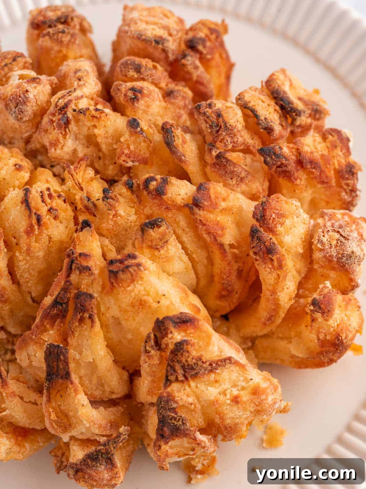 Golden Air Fryer Onion Bloom 8 Beautifully air-fried blooming onion presented on a plate, ready to be dipped and enjoyed.