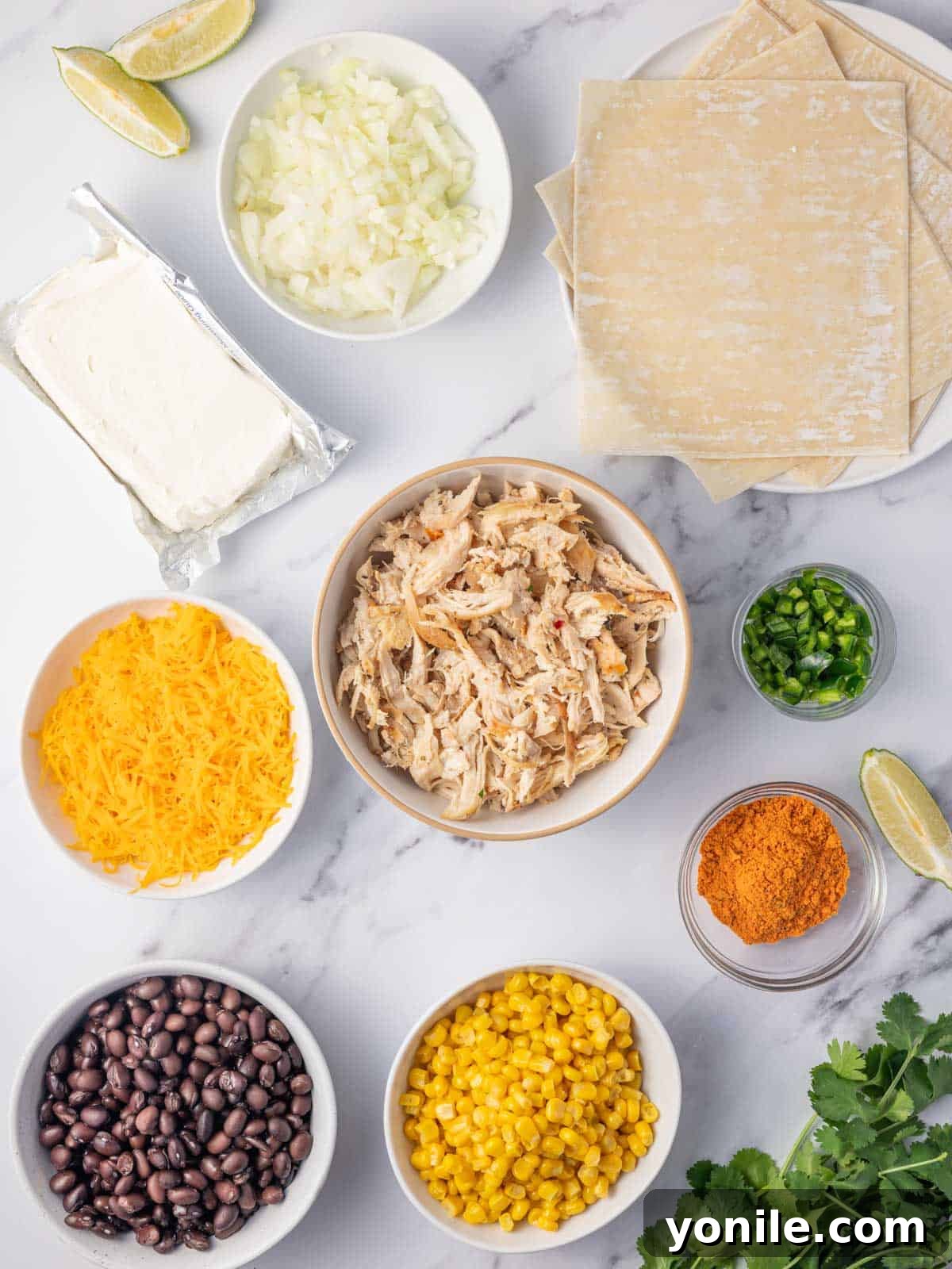 A selection of fresh ingredients laid out, ready for making southwest egg rolls.