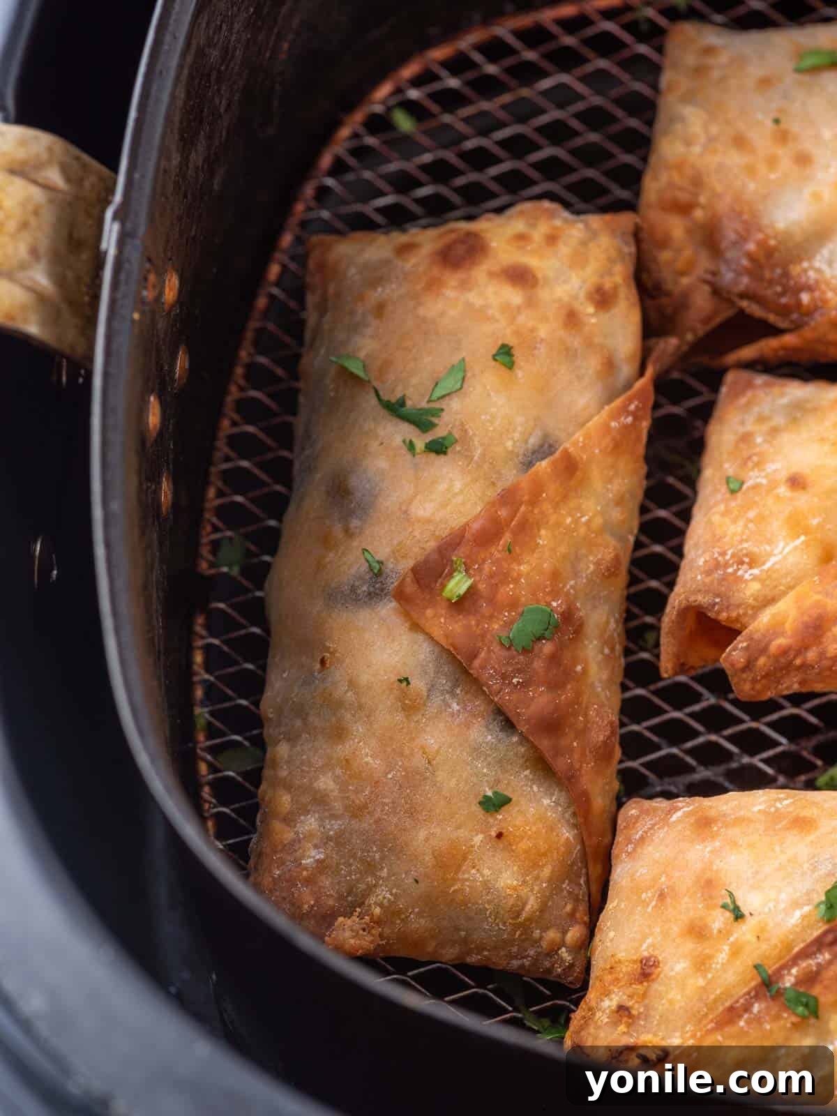 A close-up of a perfectly crispy air fryer egg roll, ready to be enjoyed.