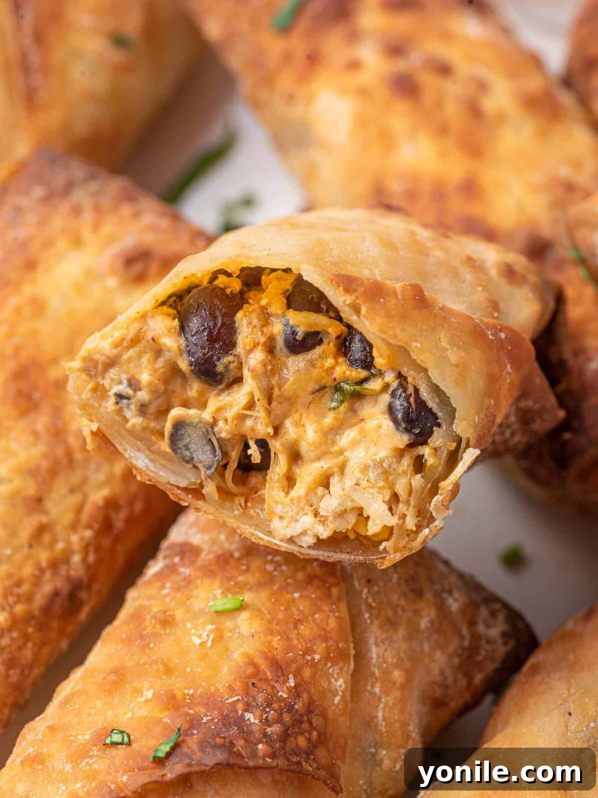 A close-up shot of an air fryer southwest egg roll, showing its delicious texture.