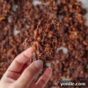 A cluster of simple granola recipe.