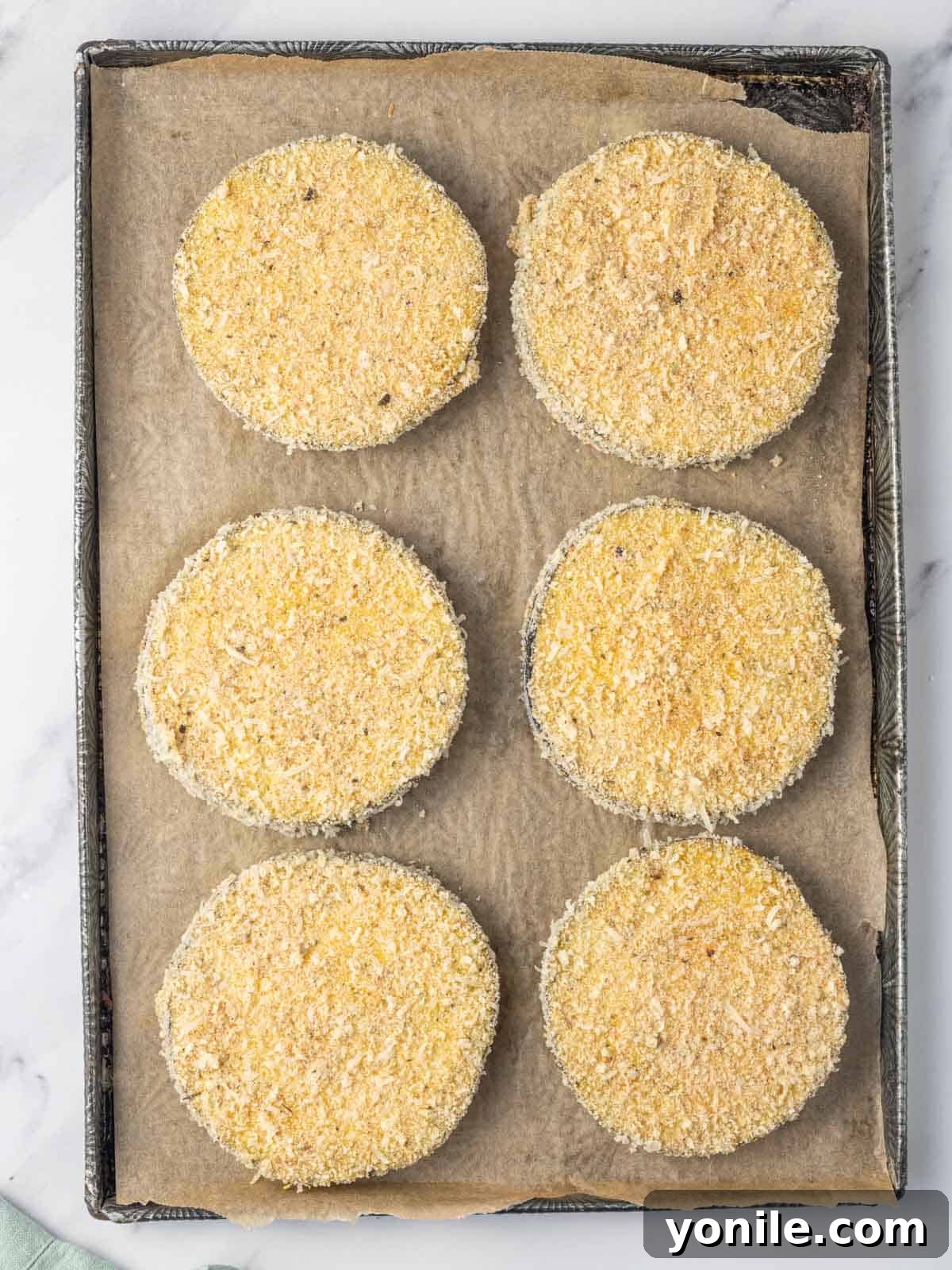 Golden Crispy Air-Fried Eggplant 6 Freshly breaded eggplant slices perfectly coated and ready for the air fryer.