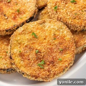 Golden Crispy Air-Fried Eggplant 10 Close up of breaded crispy eggplant on a plate.