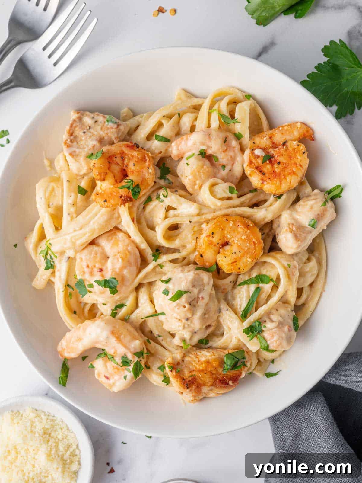 A plate of shrimp and chicken alfredo.