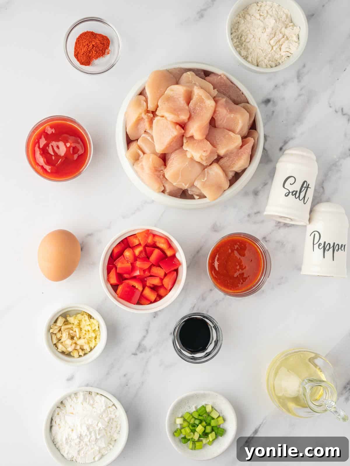 Indo-Chinese Chicken Sensation 3 Ingredients needed for chicken manchurian, neatly arranged.