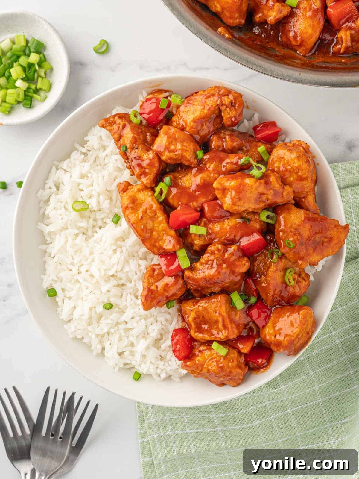 Indo-Chinese Chicken Sensation 9 Manchurian chicken with rice in a bowl, ready to be eaten.