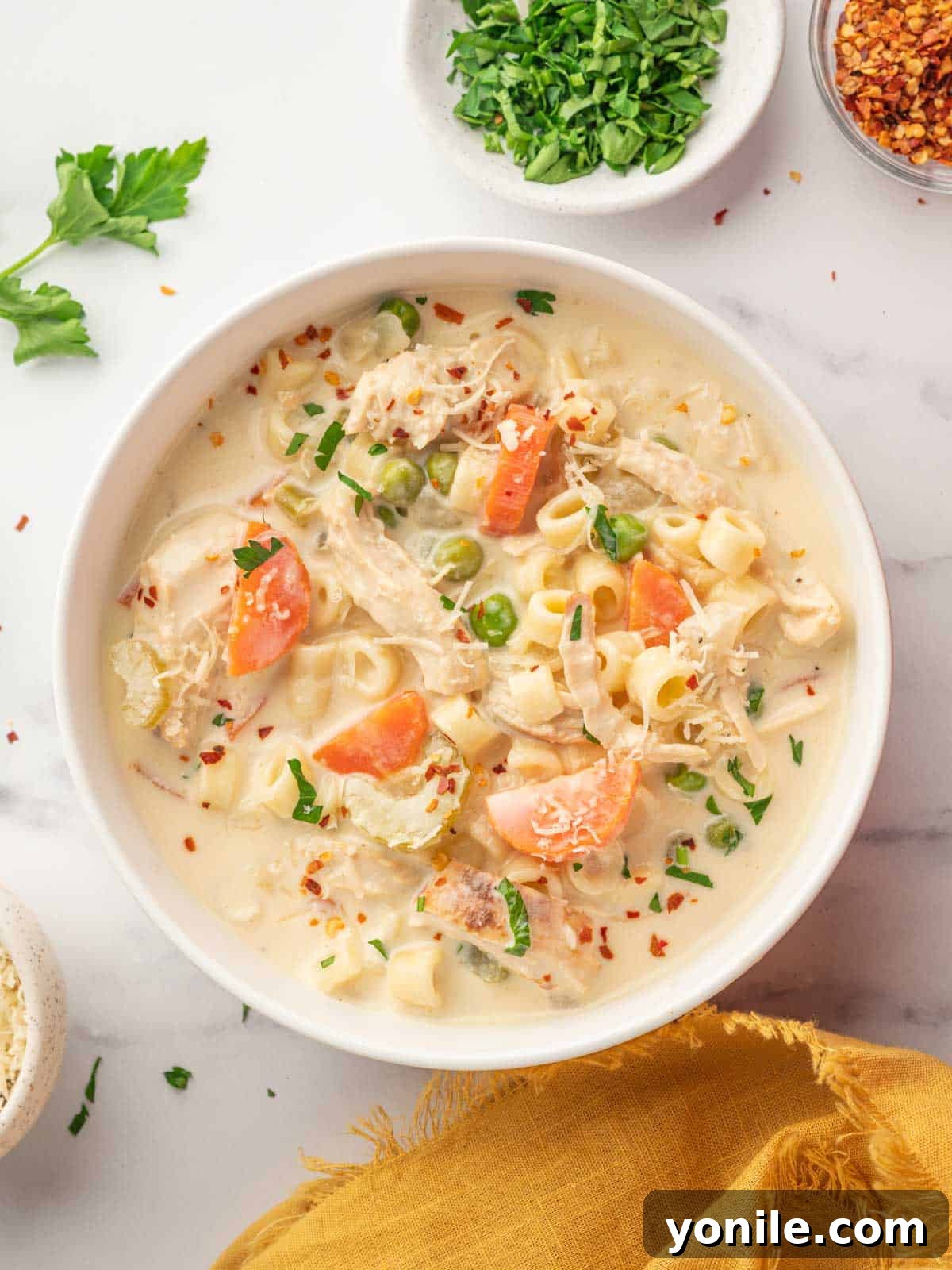 Velvety Chicken Garden Soup 2 A bowl of the best chicken vegetable soup, garnished with fresh herbs.