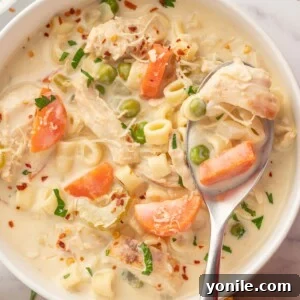 Velvety Chicken Garden Soup 8 A spoon scoops creamy chicken and vegetable soup from a bowl.