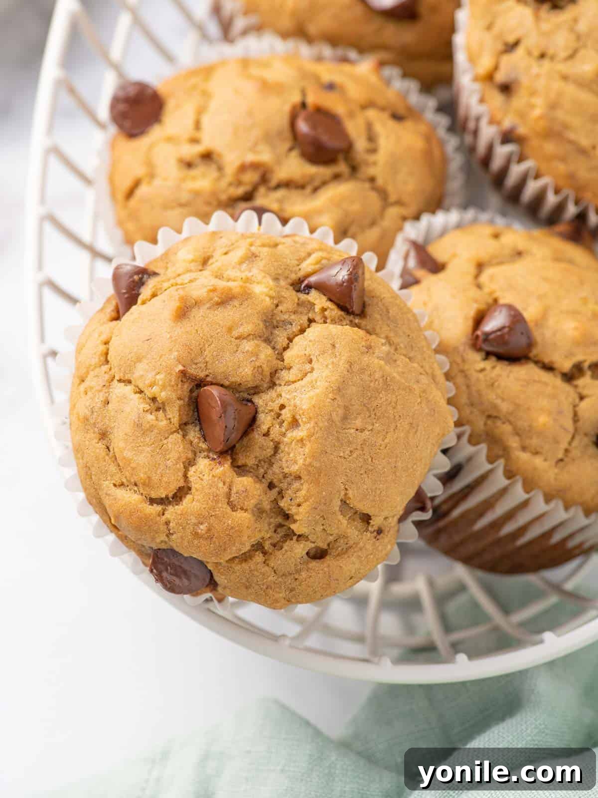 An inviting close-up of a single perfectly baked gluten-free banana chocolate chip muffin, highlighting its moist interior and rich chocolate pockets.