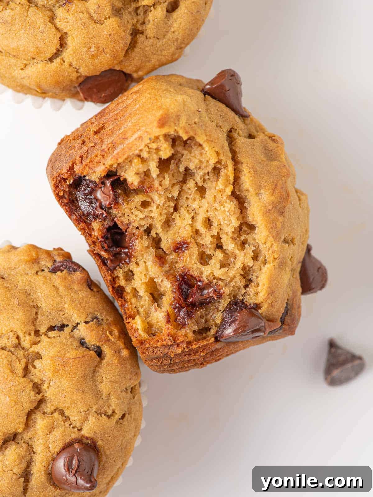 A gluten-free muffin with a bite taken out, revealing its soft, moist interior and delicious chocolate chips.