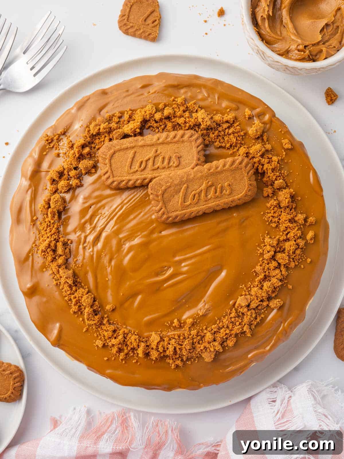 Top view of a whole biscoff cheesecake, showing the caramel topping and cookie crumbs.