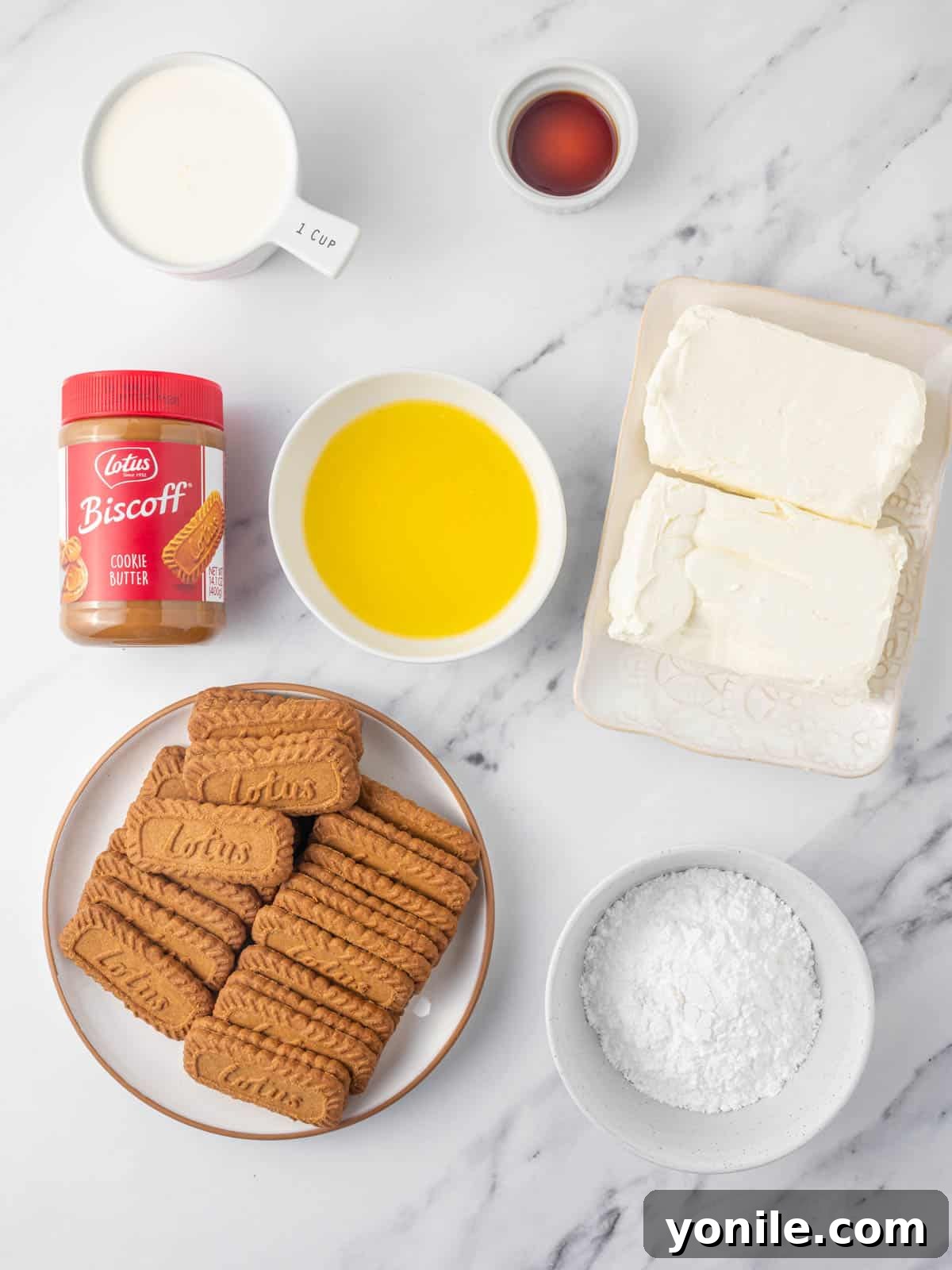 Ingredients laid out for making a lotus biscoff cheesecake.