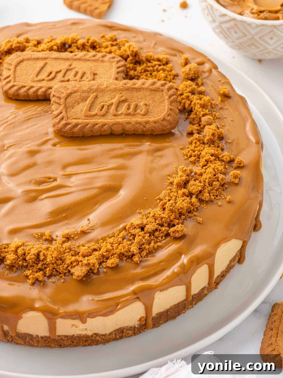 Closeup of a whole cheesecake topped with biscoff cookie butter and crumbs.
