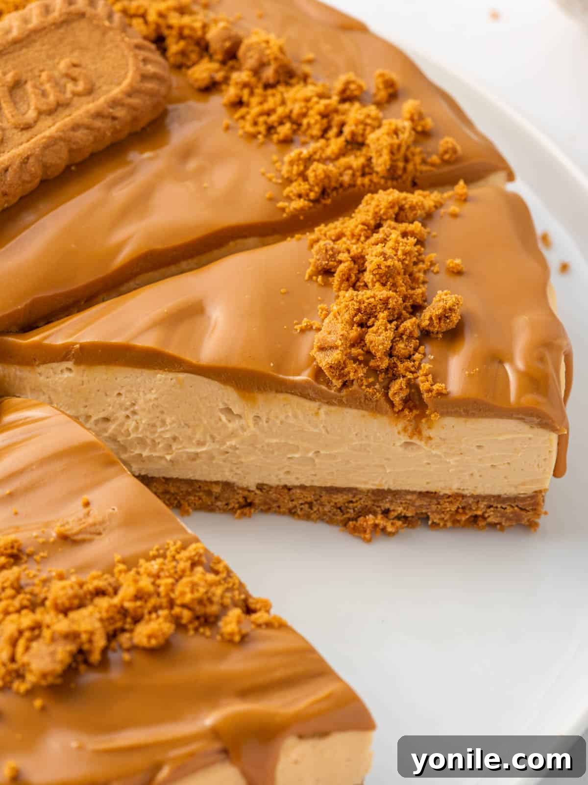 A slice is missing from a whole lotus biscoff cheesecake, showing the layers.