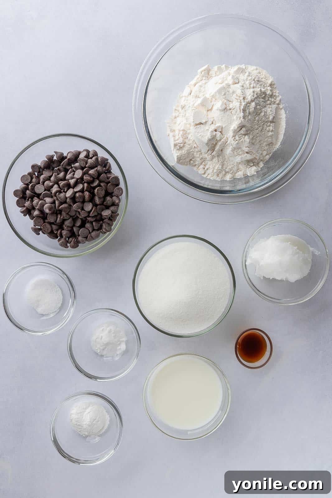 Ingredients needed to make eggless chocolate chip cookies