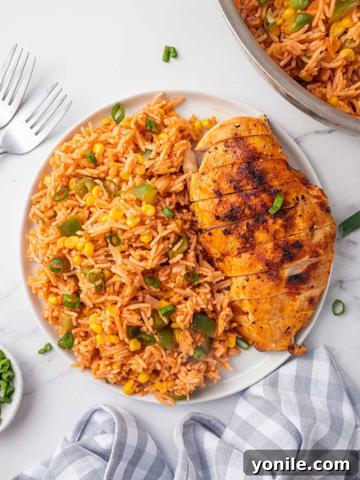 Fiesta Fried Rice 2 A plate with vibrant Mexican Fried Rice topped with grilled chicken.