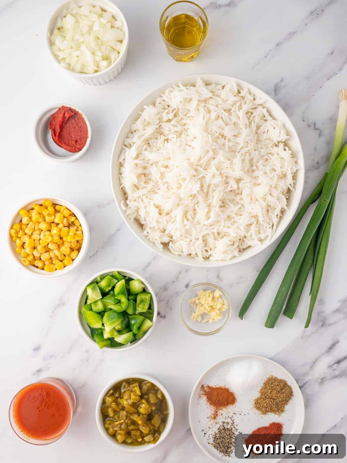 Fiesta Fried Rice 3 All the fresh and canned ingredients neatly arranged for Mexican fried rice preparation.