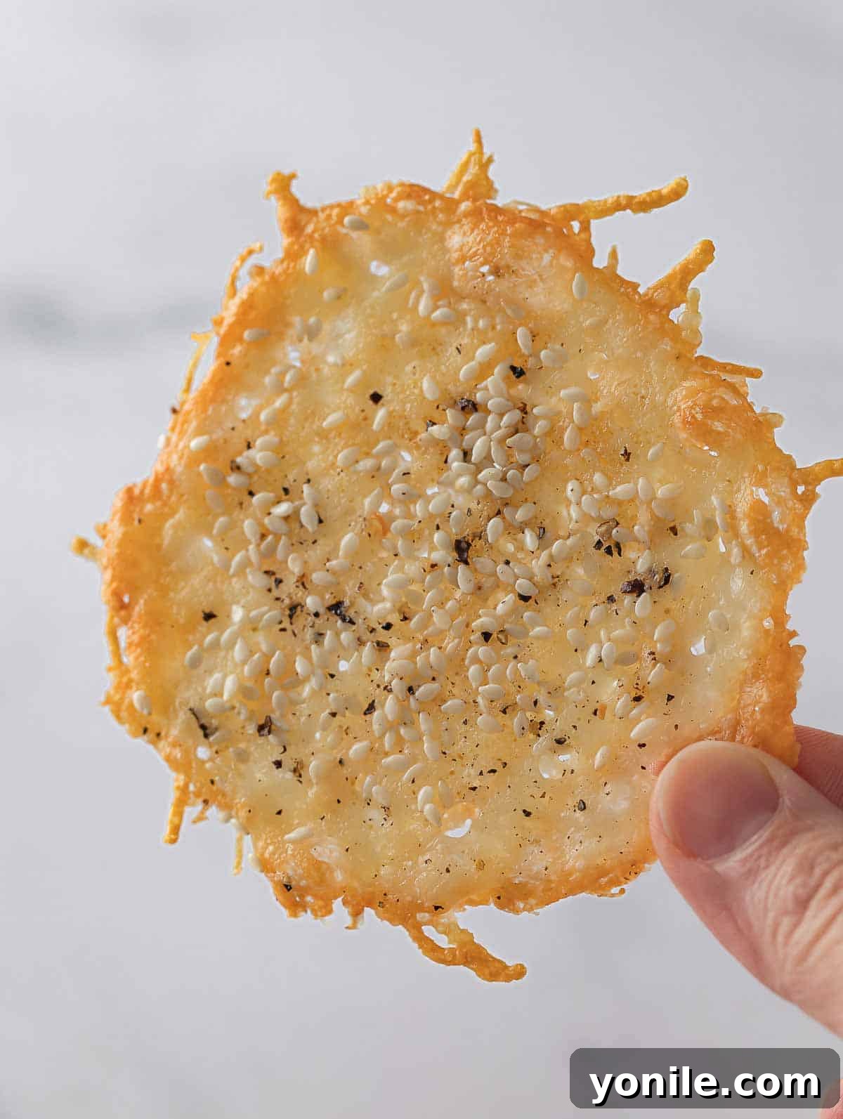 Crispy Parmesan Bites 6 Fingers holding up a perfectly crispy homemade parmesan chip, showcasing its golden color.