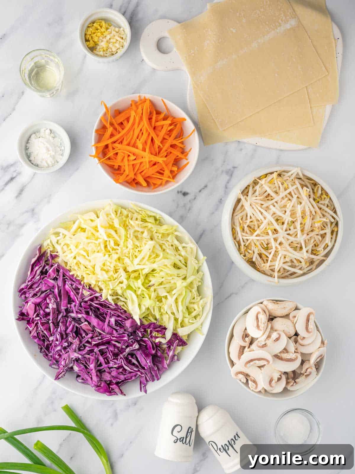 Ingredients needed for air fryer spring rolls.