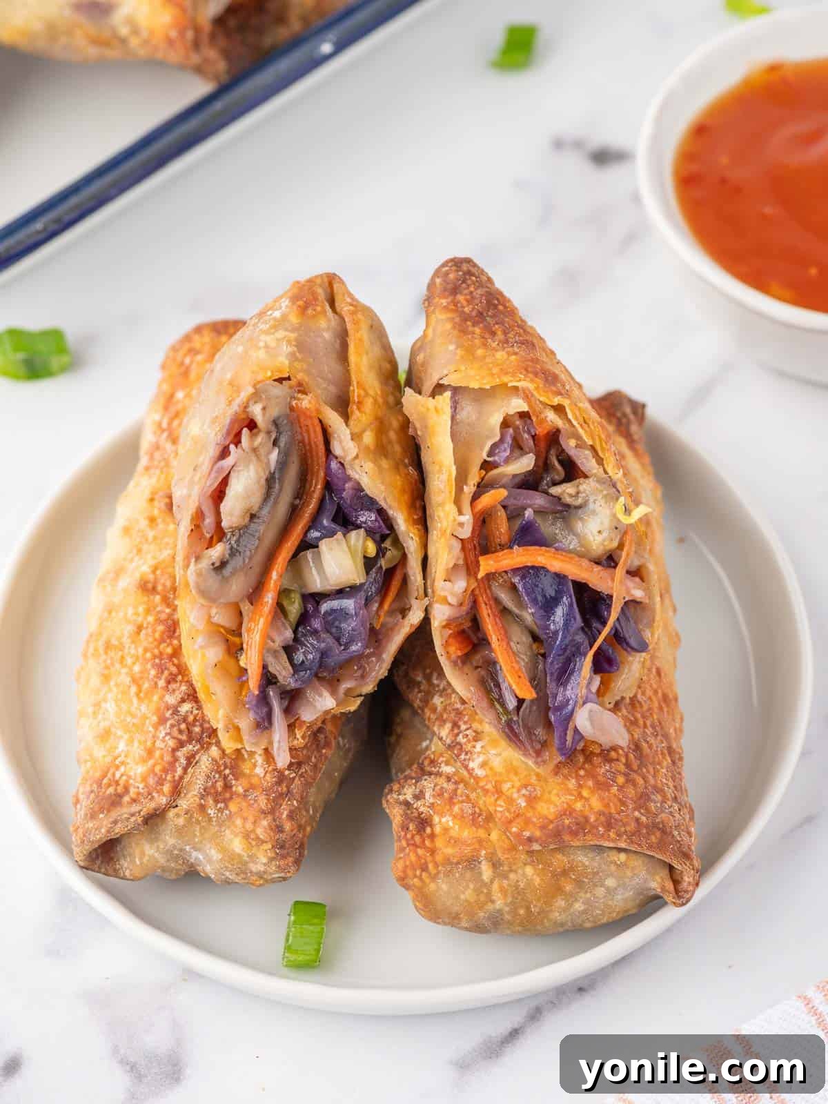 A veggie filled spring roll rests on a plate.