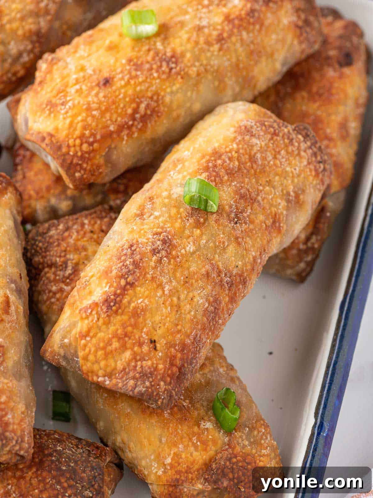 Close up of an air fried spring roll.
