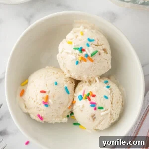 Scoops of vanilla ice cream with sprinkles.