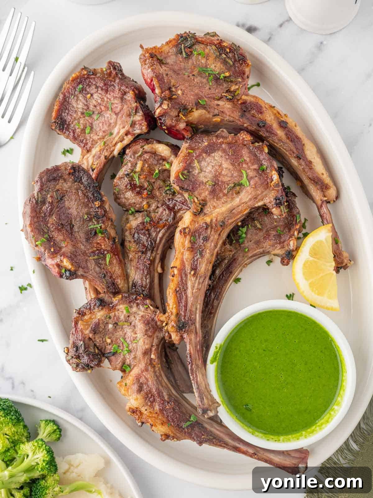 A close-up of beautifully grilled lamb chops on a white platter, garnished with fresh herbs.