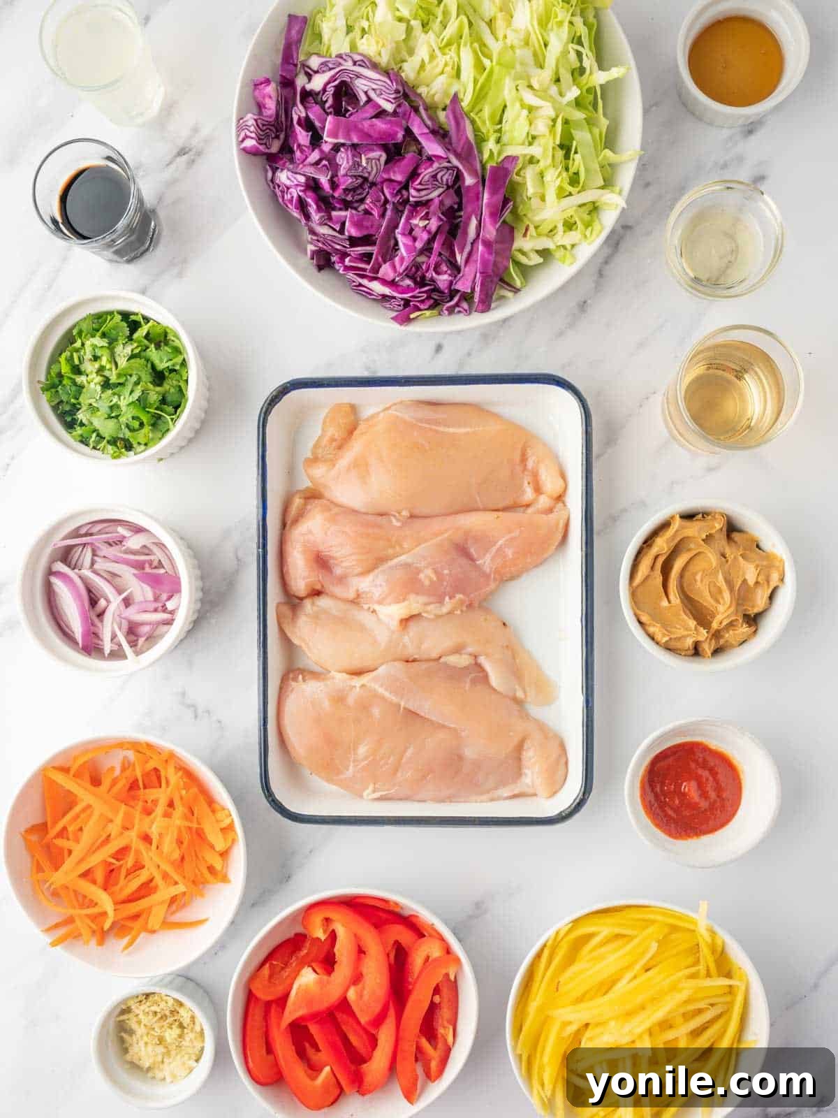 Ingredients needed for mango thai chicken salad.