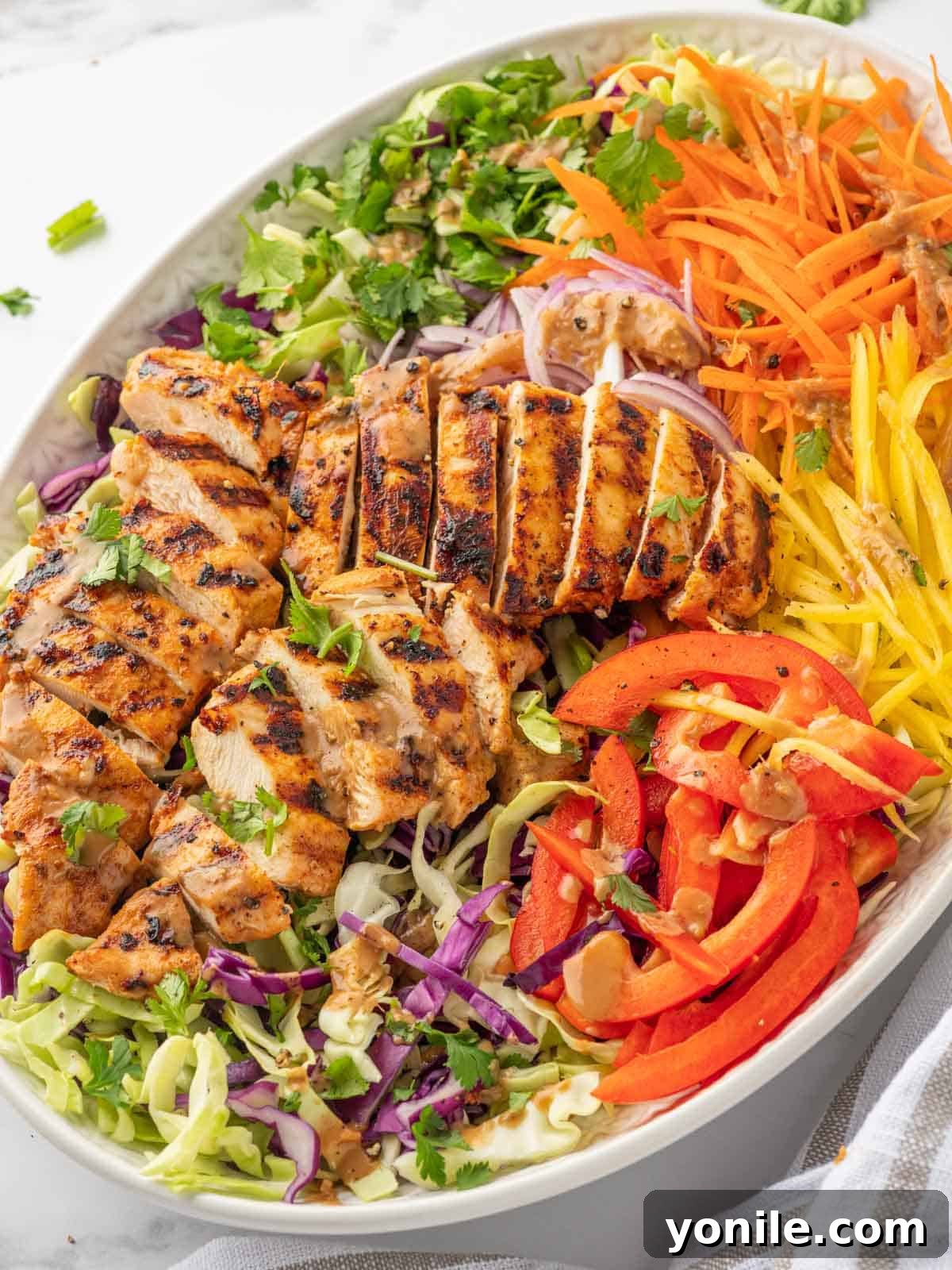 Sliced grilled chicken and mango salad.