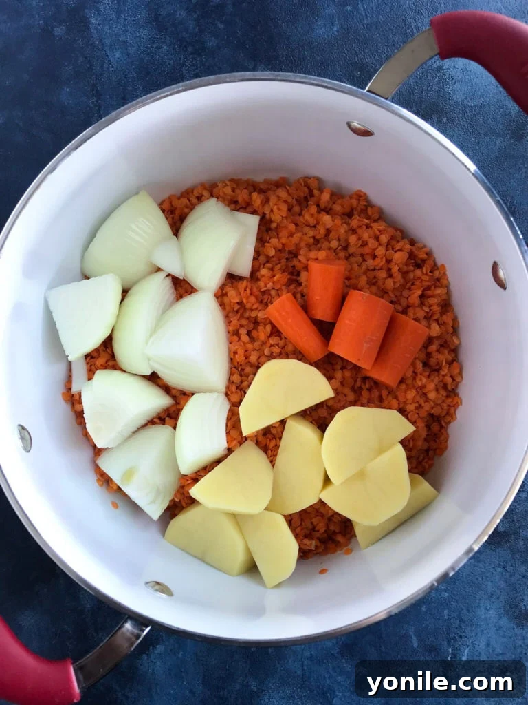 Red lentils, diced onions, carrots, and potatoes neatly arranged in a large pot, ready for cooking.