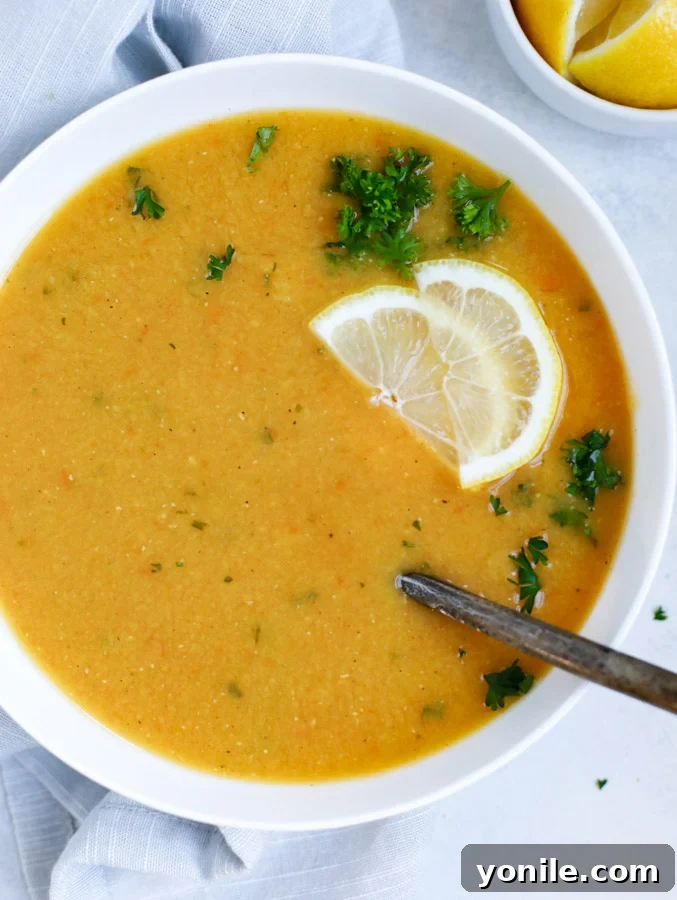A beautifully presented bowl of Lebanese Lentil Soup, garnished with fresh herbs and lemon, with a spoon resting inside.