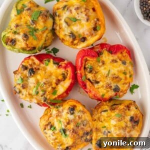 A plate with six stuffed peppers.