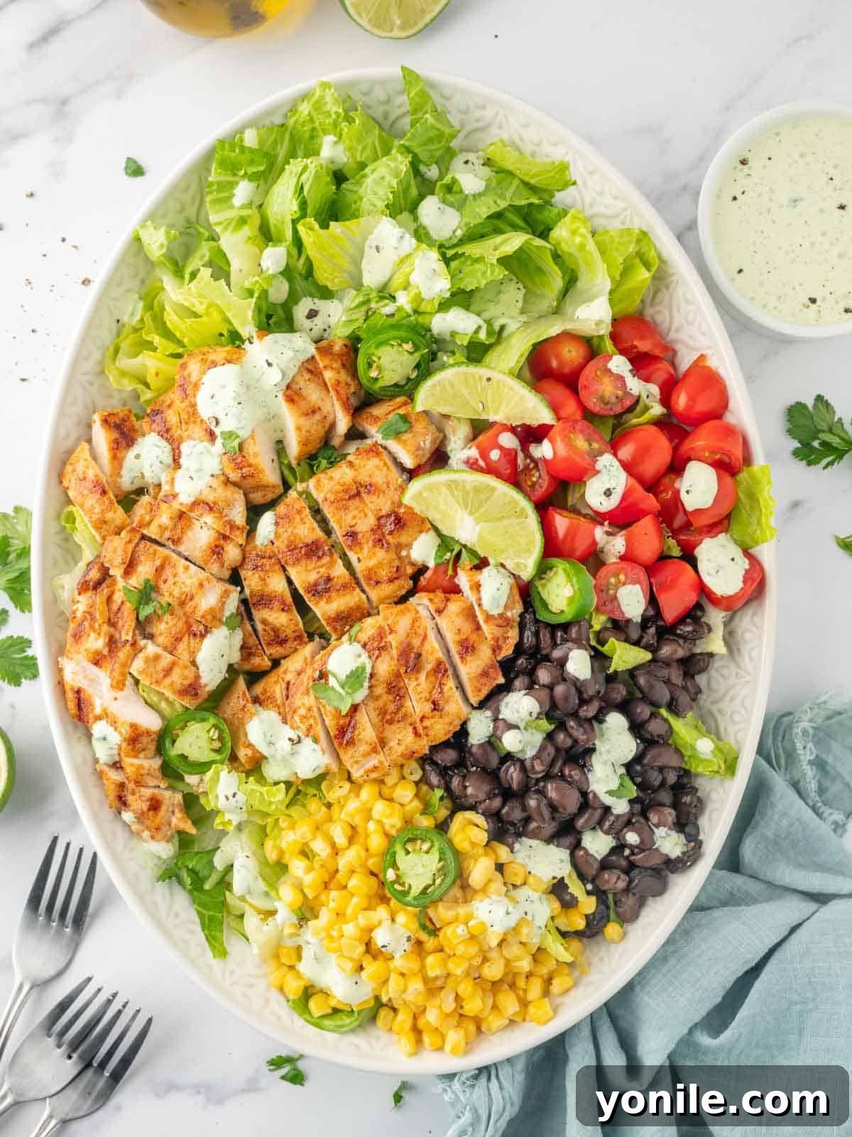 Fiesta Chicken Salad 2 Overhead view of santa fe grilled chicken salad on a plate.