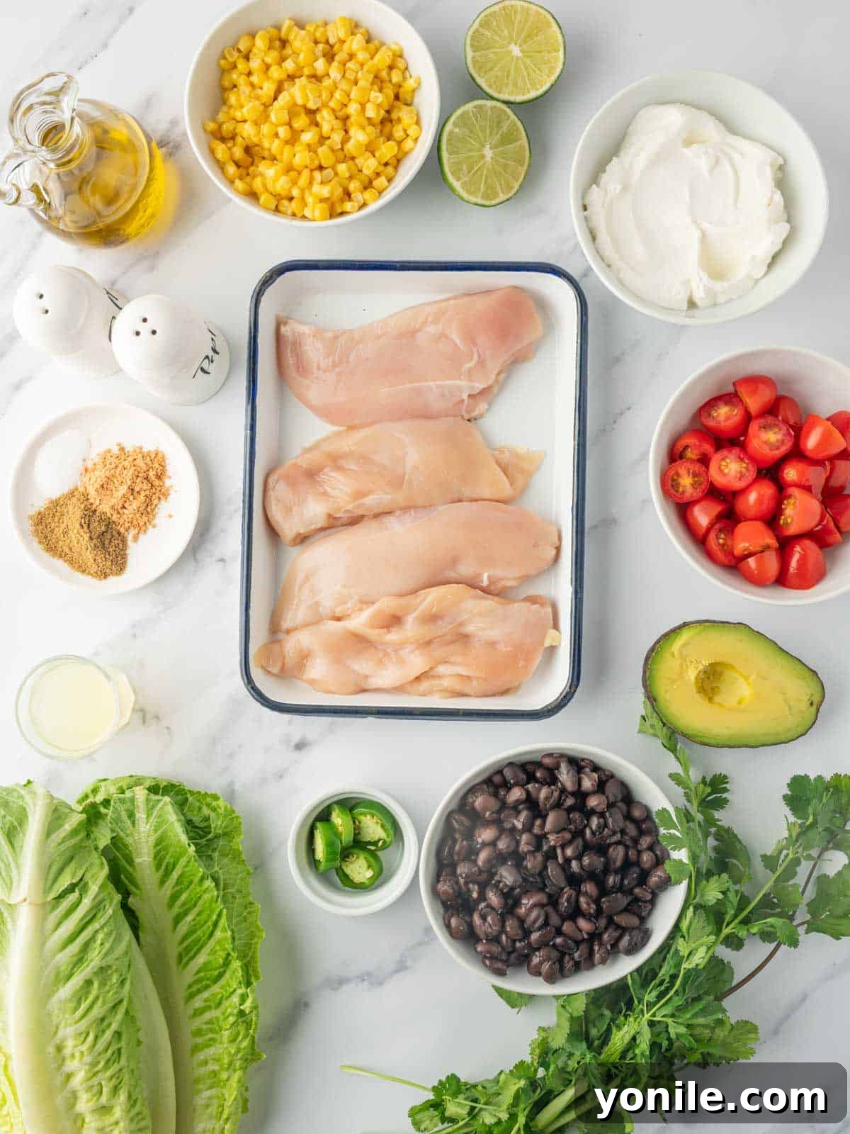 Fiesta Chicken Salad 3 Ingredients needed for Santa Fe Salad.
