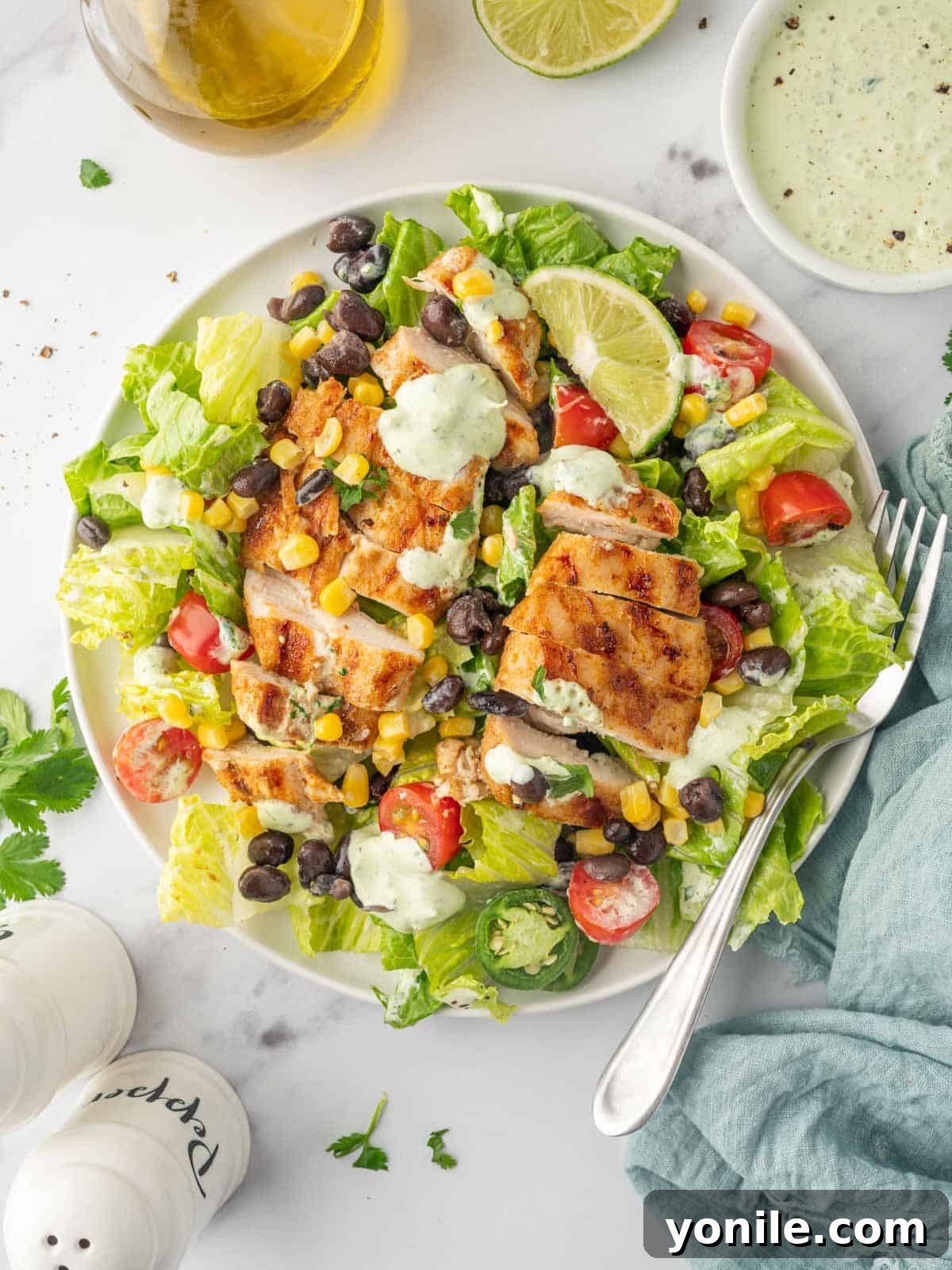 Fiesta Chicken Salad 8 A fork rests on a plate with Santa Fe Grilled chicken salad.