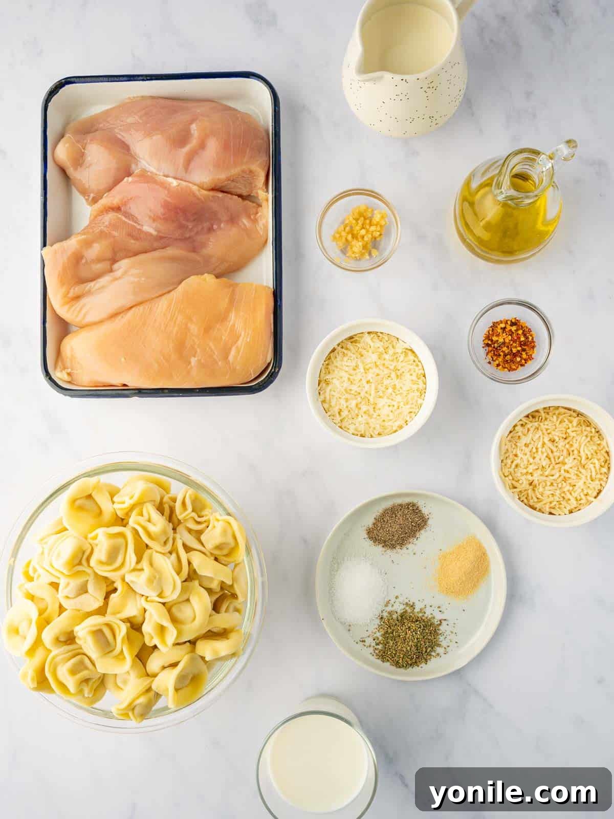 Velvety Chicken Tortellini Alfredo 3 Ingredients for creamy asiago tortellini alfredo with grilled chicken laid out on a table.