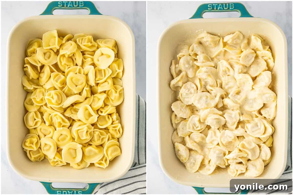 Velvety Chicken Tortellini Alfredo 6 Combining freshly cooked tortellini with the creamy alfredo sauce in a casserole dish.
