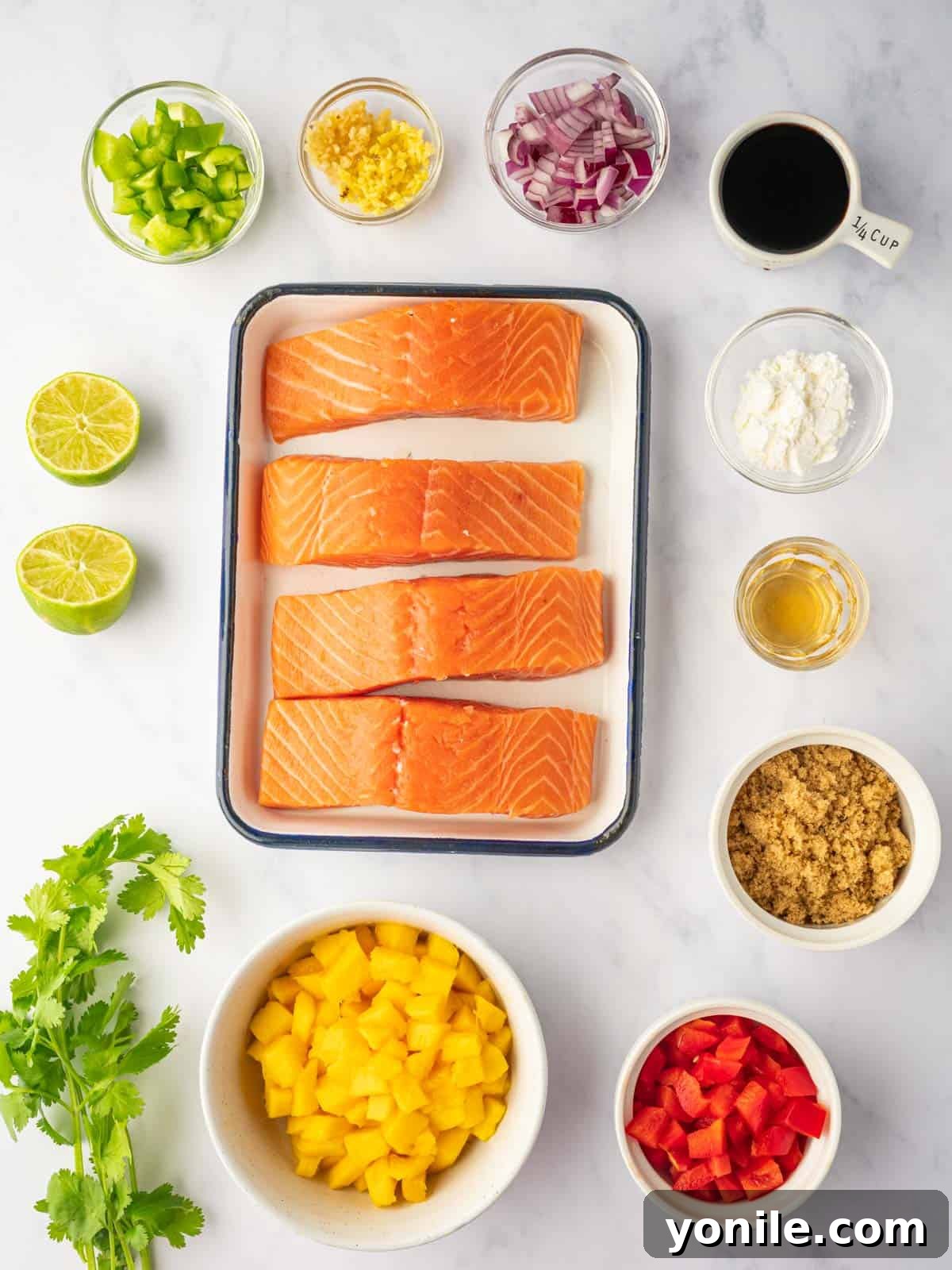 Ingredients laid out for grilled teriyaki salmon including salmon fillets, teriyaki sauce components, and mango salsa ingredients.