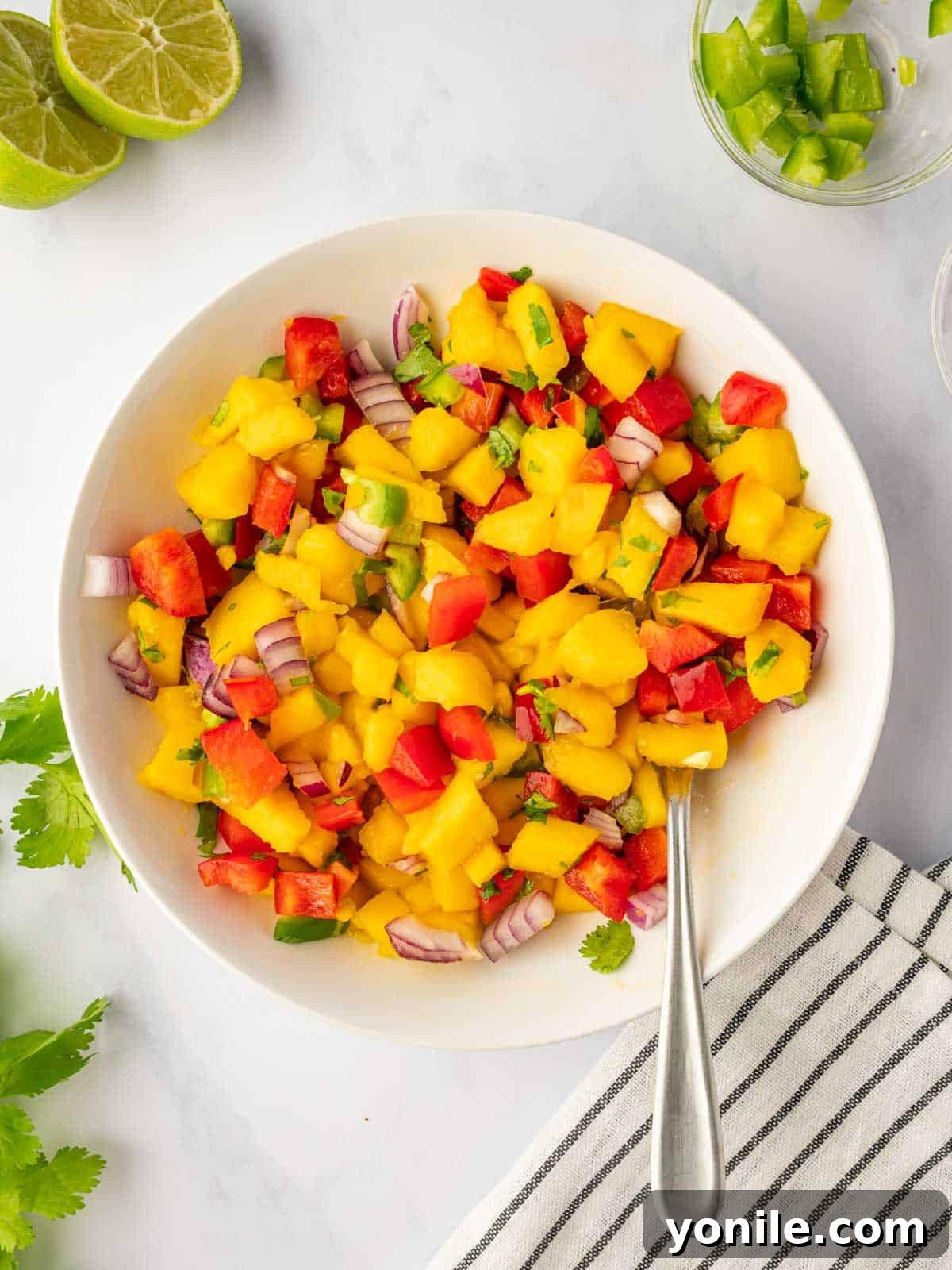 A bowl of freshly made mango salsa with diced mango, bell pepper, onion, and cilantro.