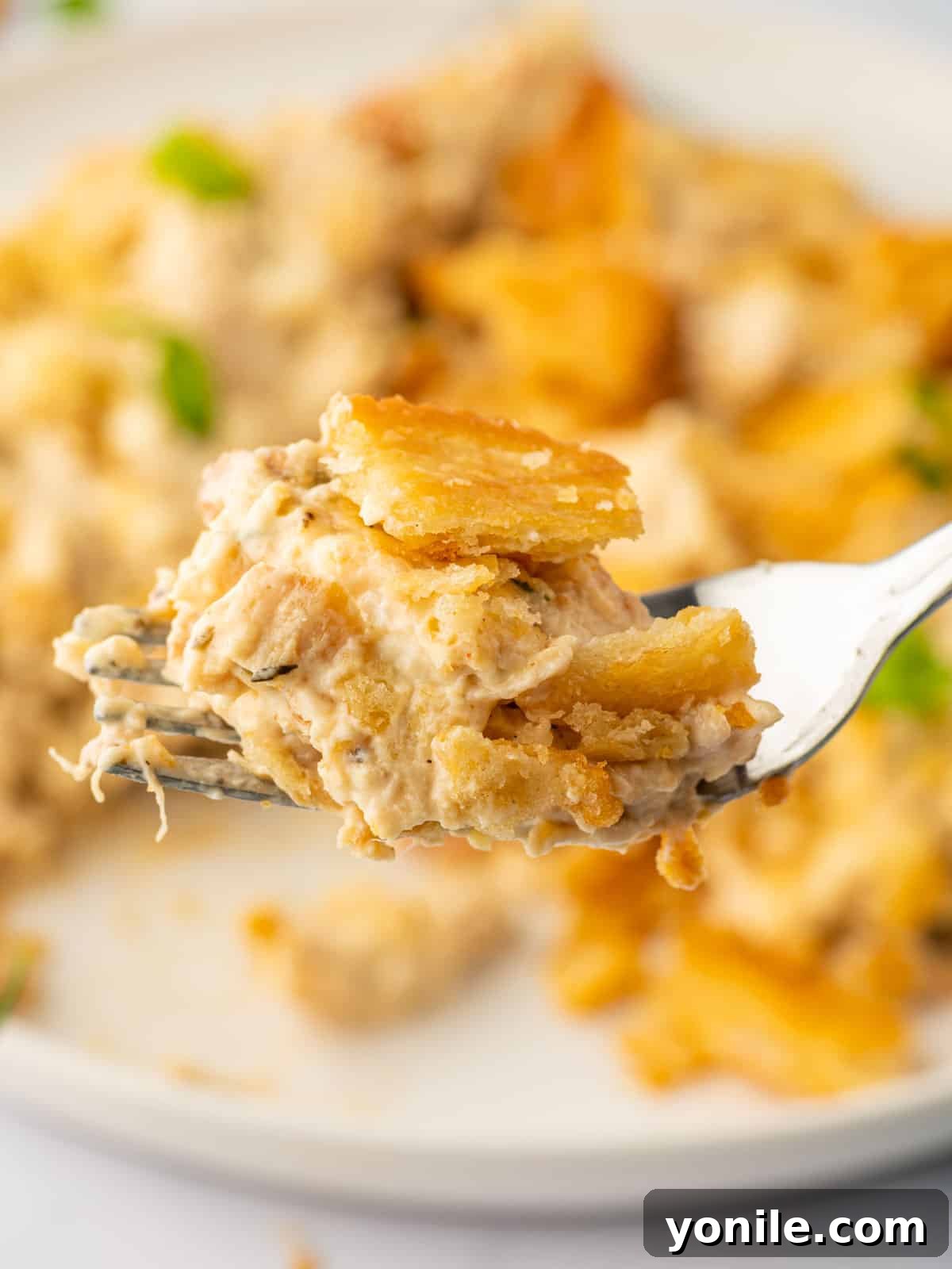 Decadent Chicken Bake 8 A fork serves of a bite of the best chicken casserole ever.