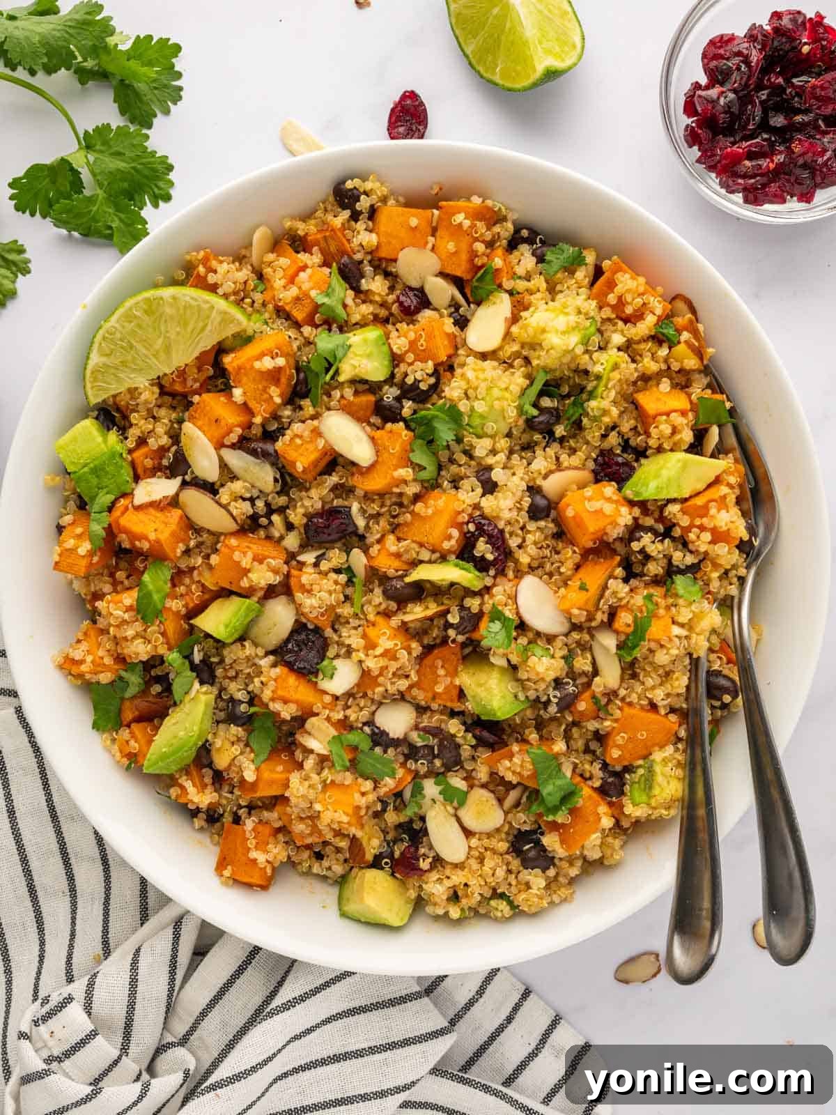 A beautifully arranged bowl of roasted sweet potato quinoa salad, showcasing its vibrant colors and diverse textures.