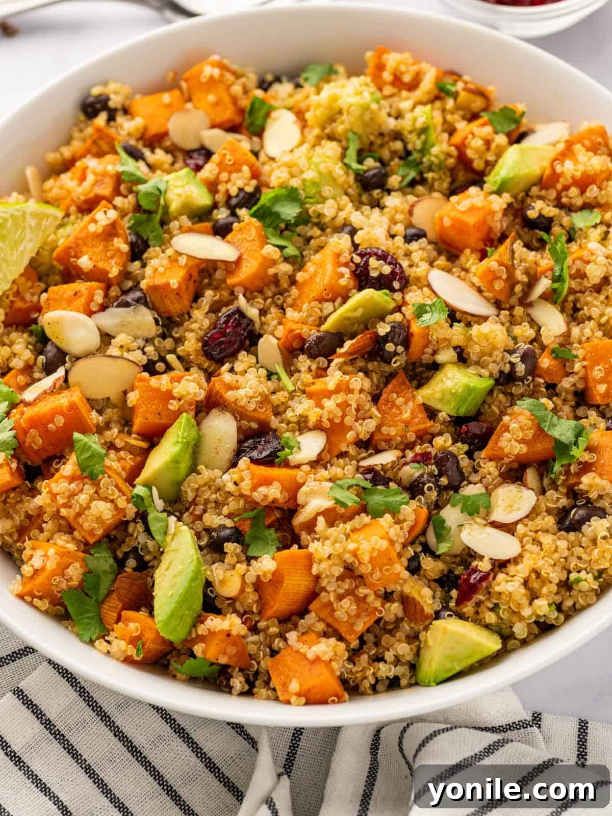 A large bowl of sweet potato salad with quinoa, ready to be served.