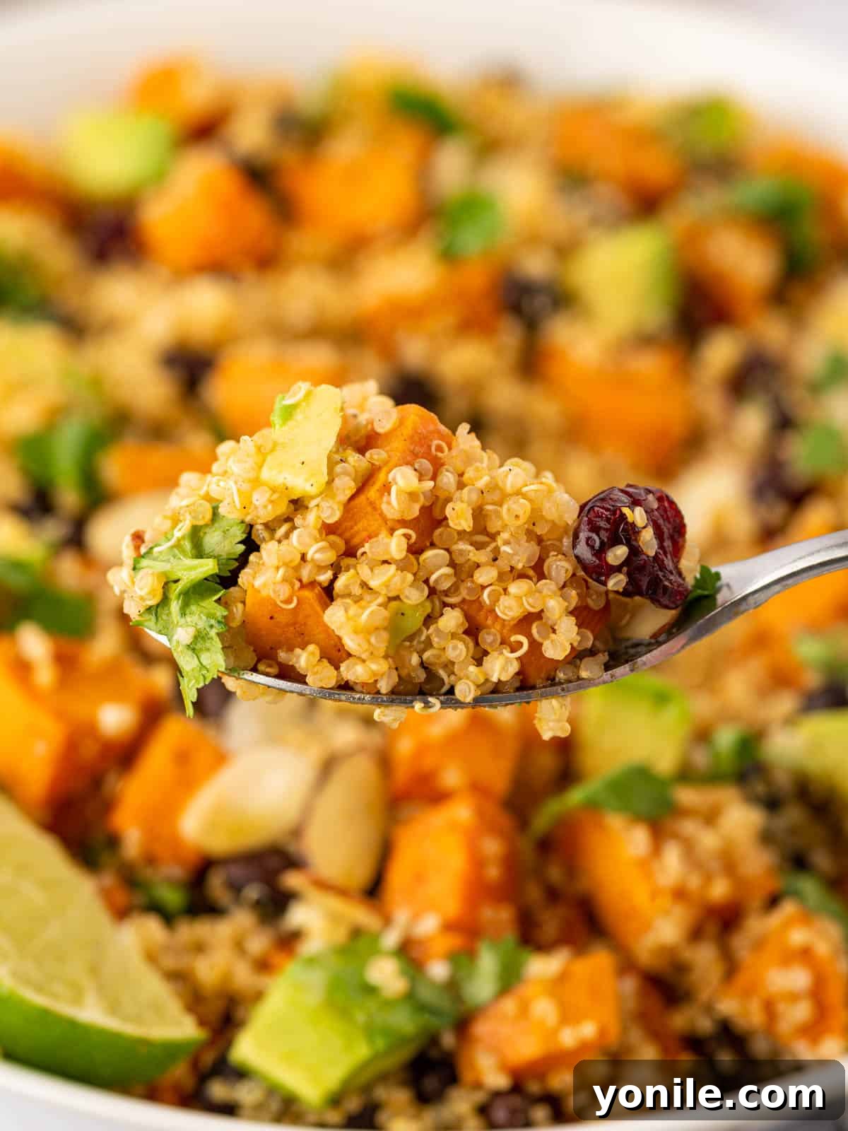 A spoon lifting a portion of the colorful quinoa and sweet potato salad, highlighting its inviting texture.