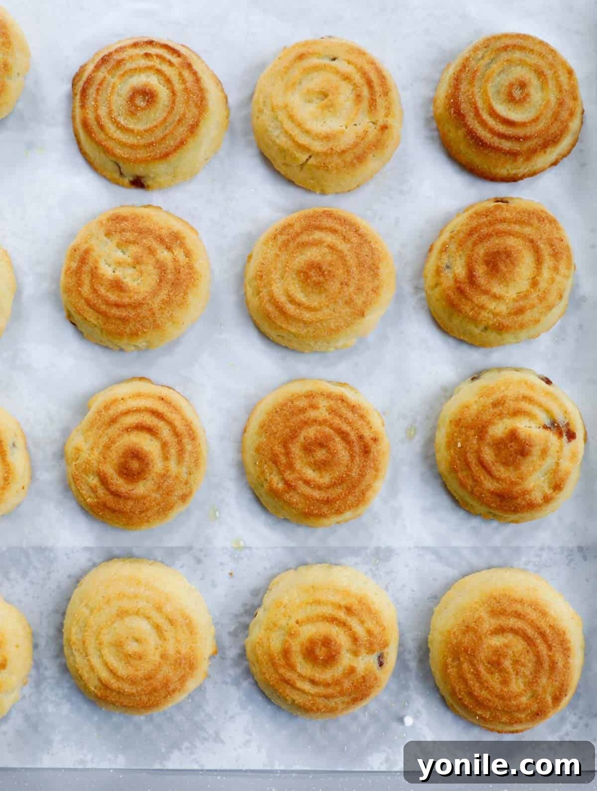 Maamoul Irresistible Date Cookies 12 Baked date filled maamouls in a sheet pan, showing their perfect golden finish.
