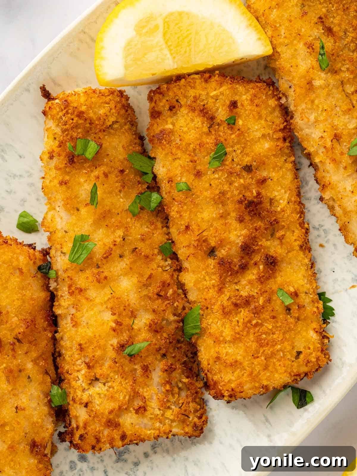 A single, perfectly air-fried mahi mahi fillet presented on a plate, showcasing its golden-brown, crispy exterior.
